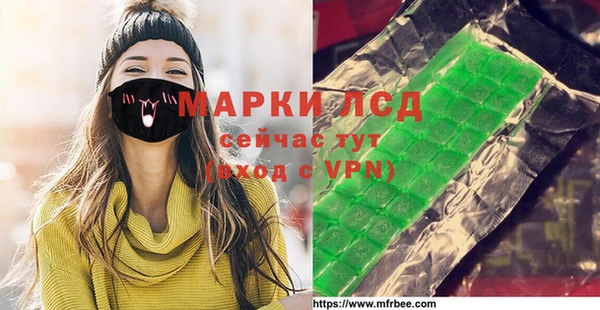 шишки Медногорск