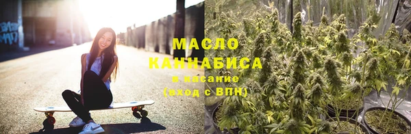 молекула духа Медвежьегорск