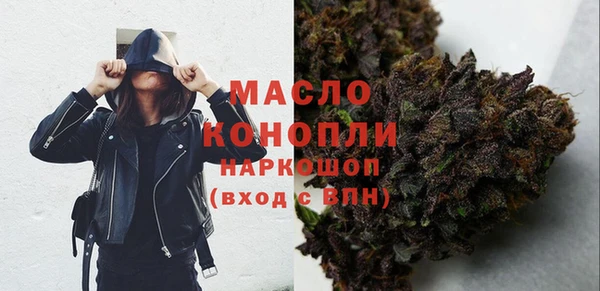 шишки Медногорск