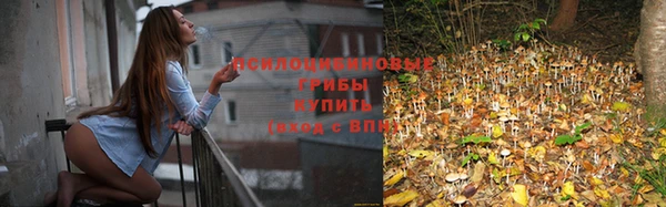 молекула духа Медвежьегорск