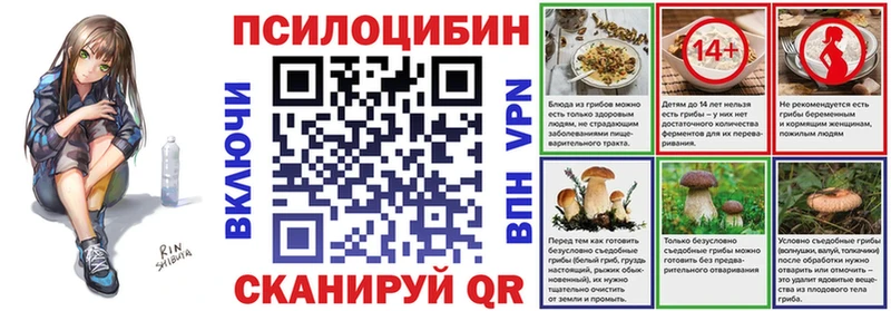 Псилоцибиновые грибы Psilocybine cubensis  наркошоп  Агидель 